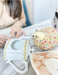 転写紙コースの生徒さんによる制作風景
モモンガちゃんと一緒に受講中