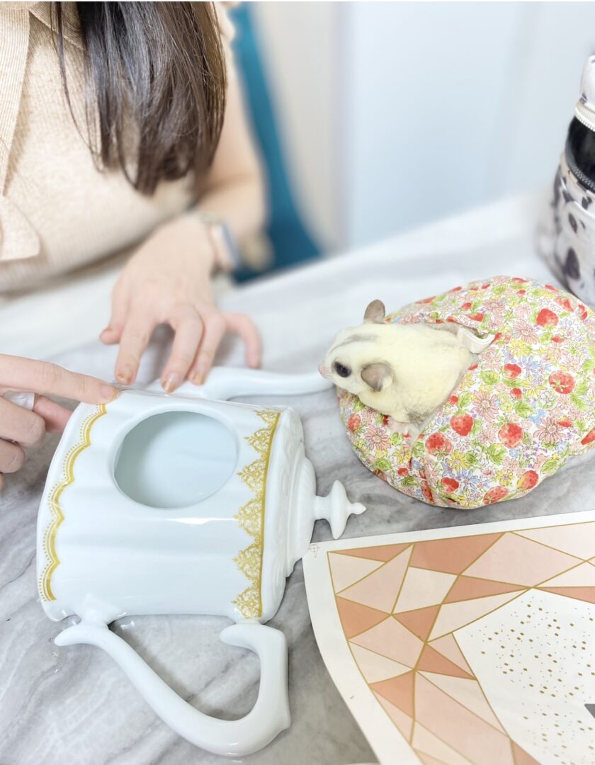 転写紙コースの生徒さんによる制作風景 モモンガちゃんと一緒に受講中